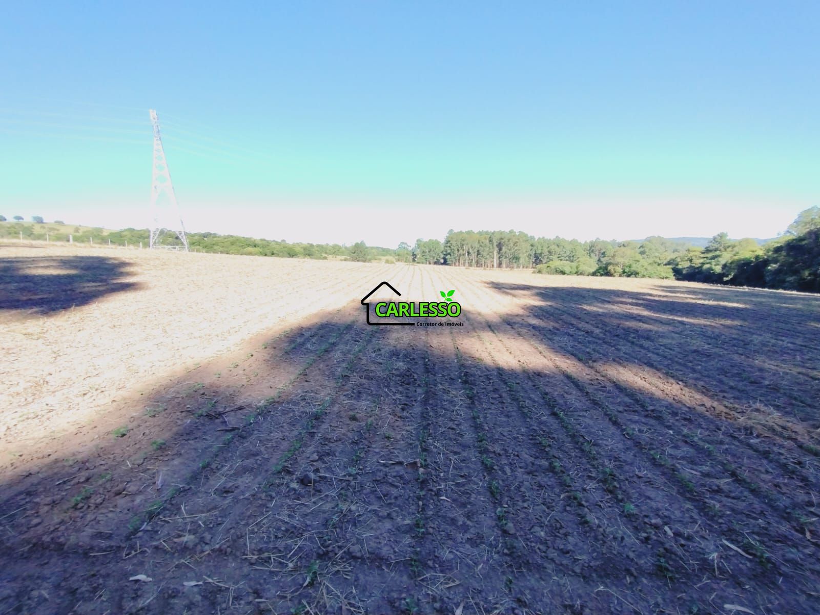 Sítio, 9 hectares - Foto 25