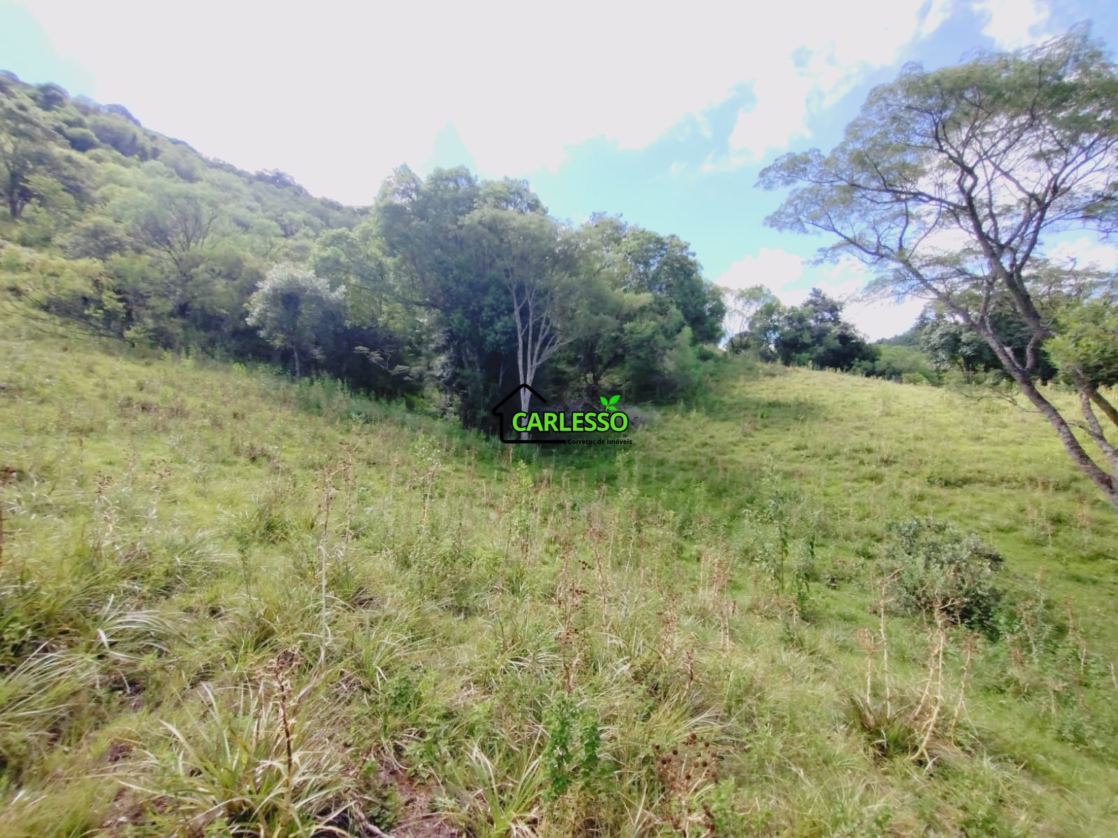 Sítio, 23 hectares - Foto 12