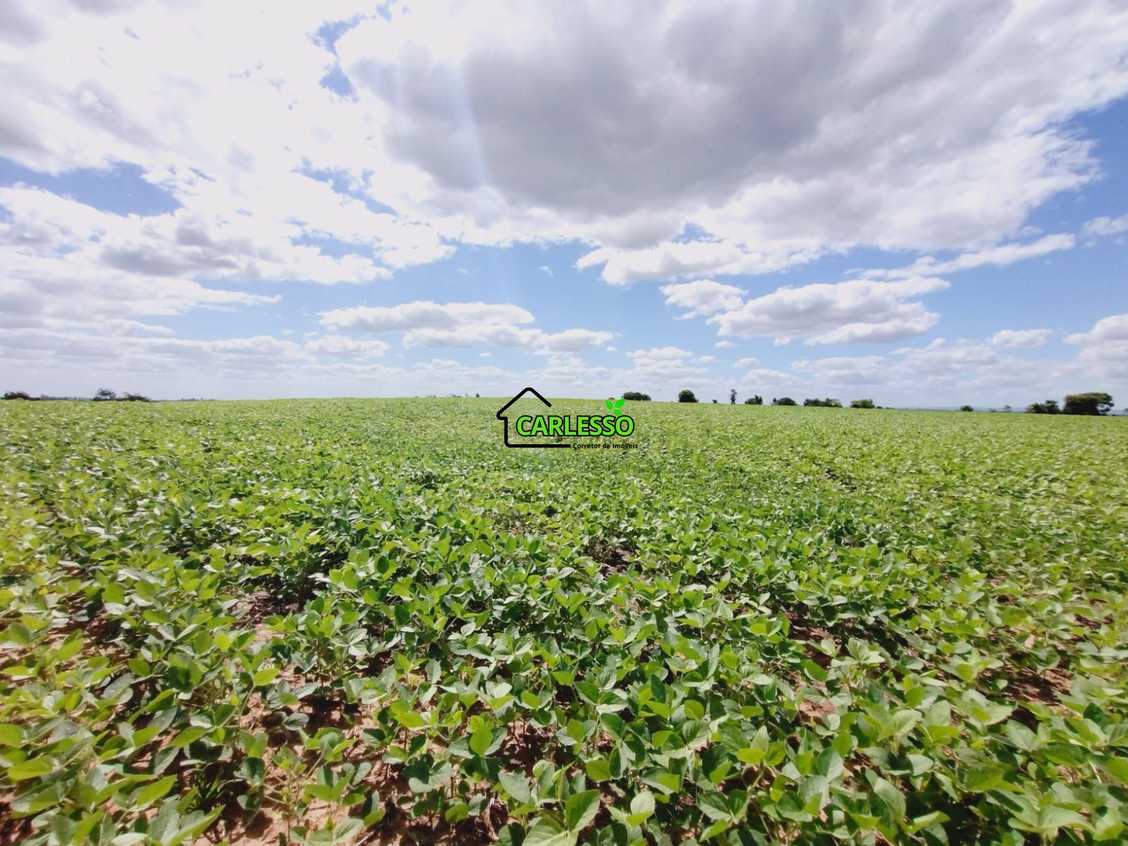 Sítio, 25 hectares - Foto 68