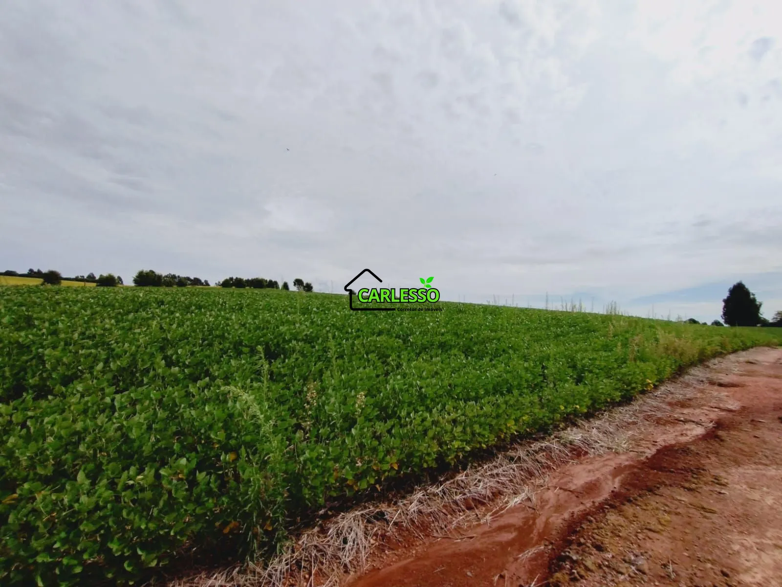 Sítio, 3 quartos, 25 hectares - Foto 63