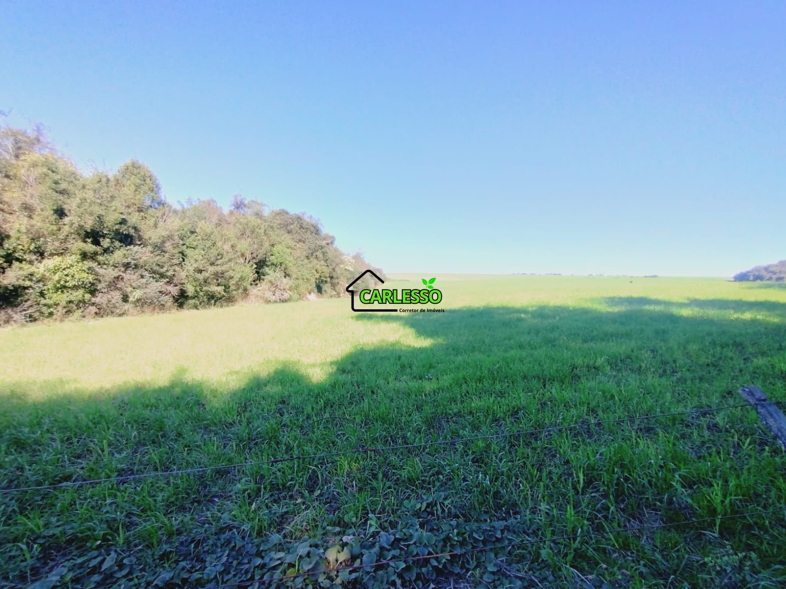 Sítio, 19 hectares - Foto 27