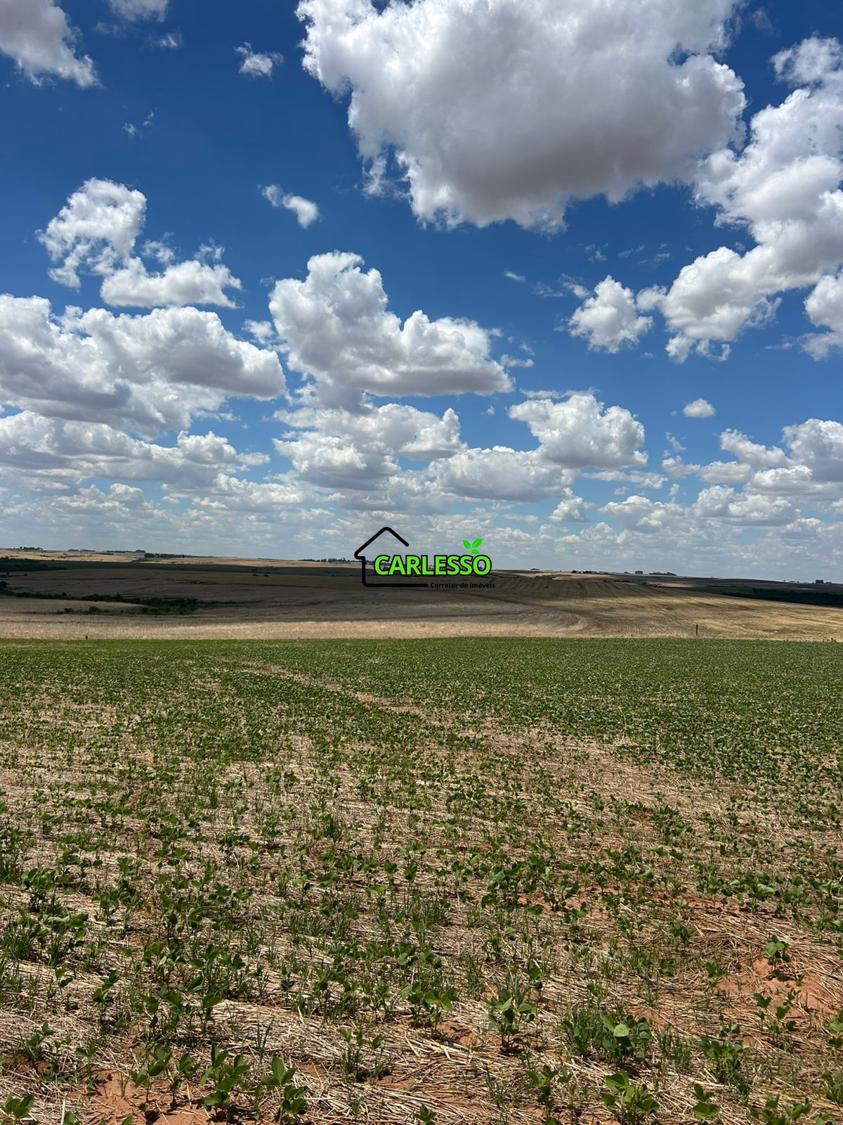 Fazenda, 700 hectares - Foto 3