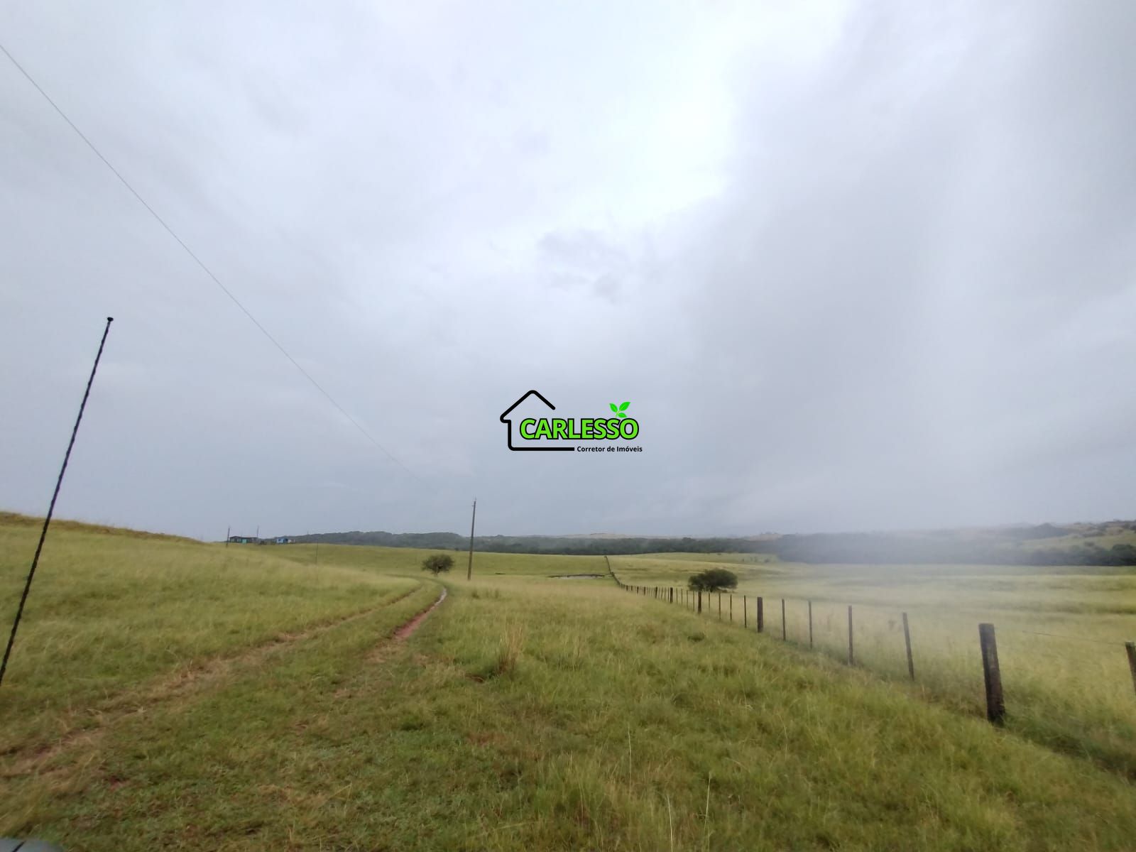 Fazenda de 80 ha em Alegrete