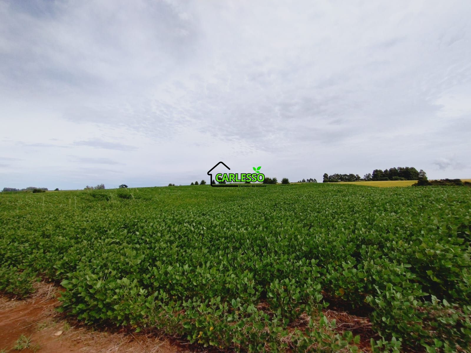 Sítio, 3 quartos, 25 hectares - Foto 6