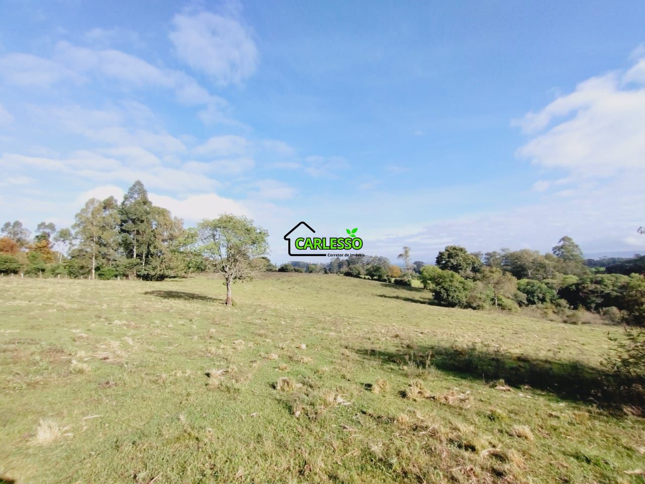 Chácara, 9 hectares - Foto 16