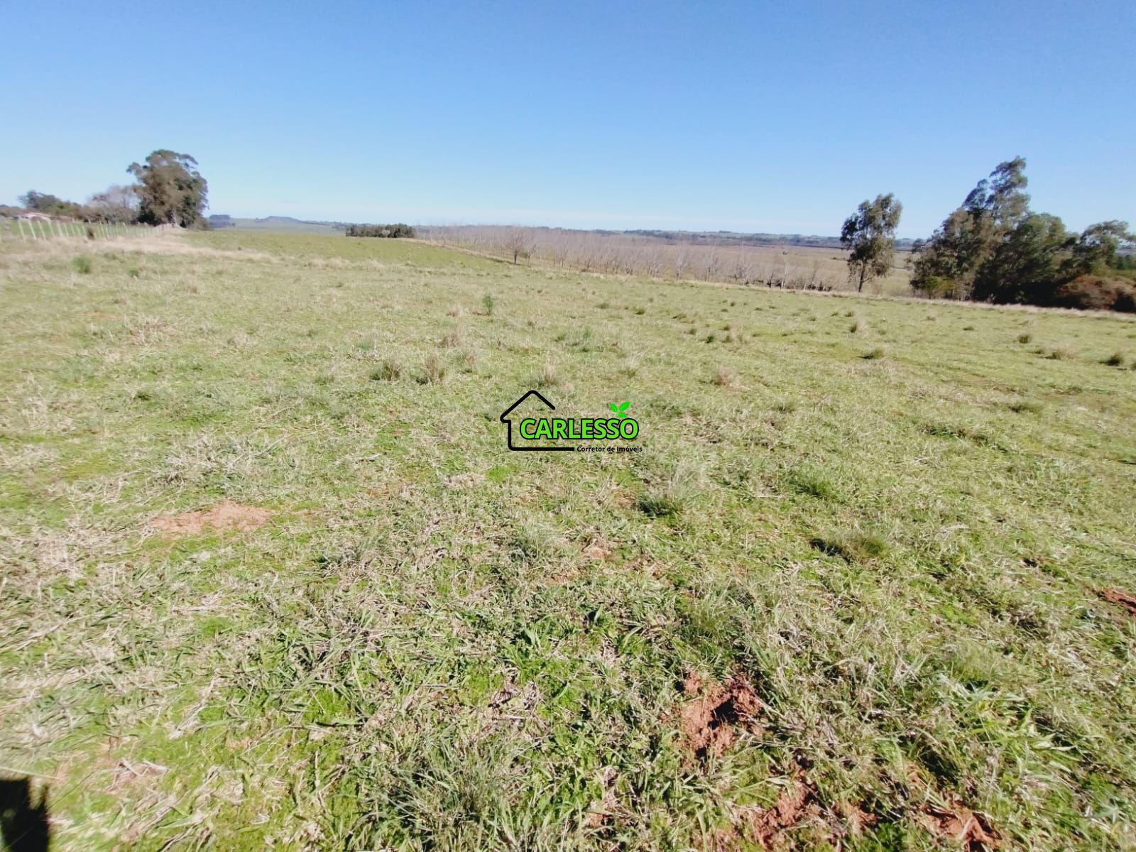 Chácara, 3 quartos, 12 hectares - Foto 48