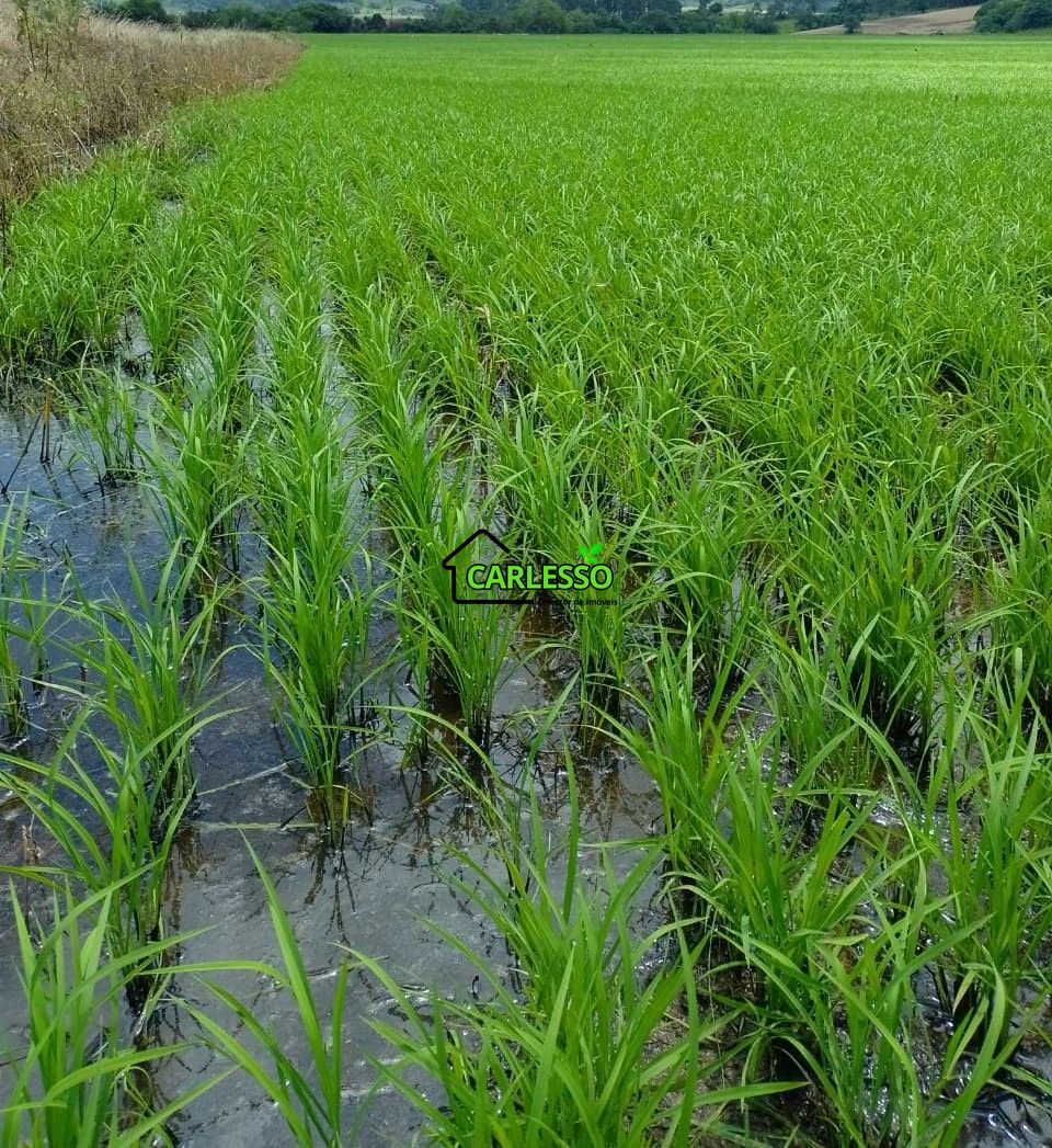 Fazenda/sítio/chácara/haras à venda  no Zona Rural - Alegrete, RS. Imóveis