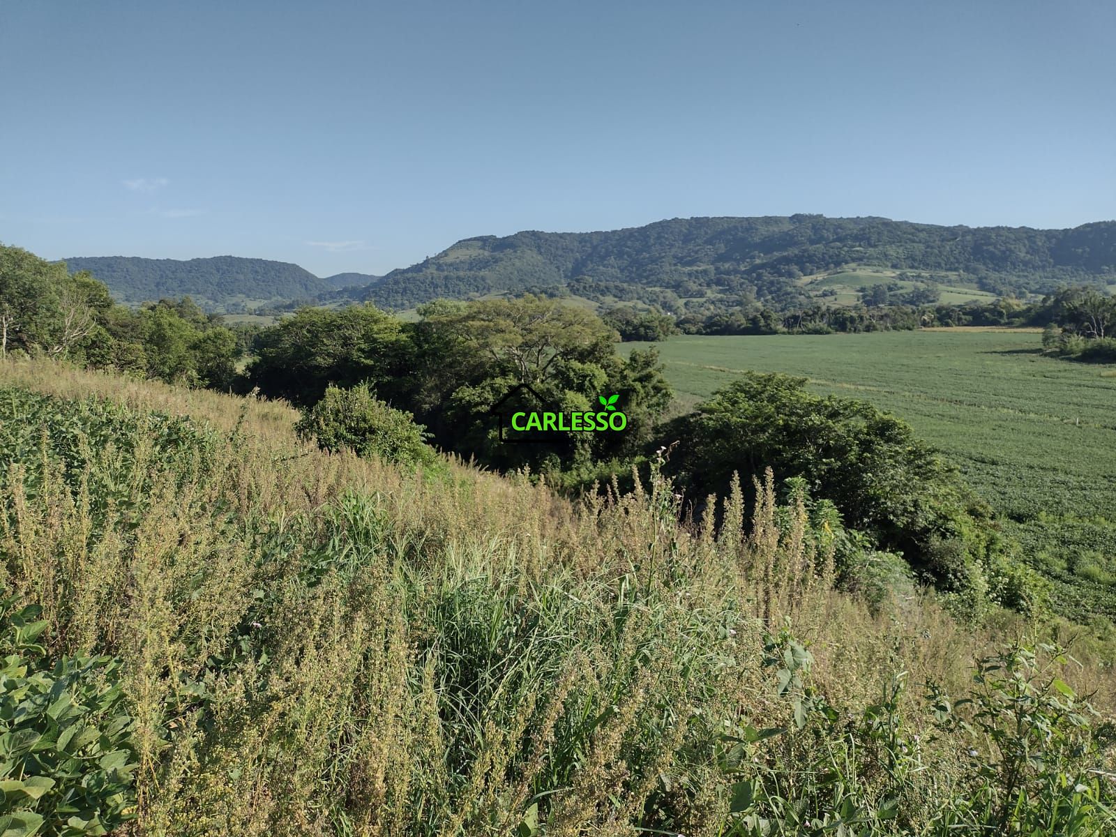 Área de 8,5 ha a venda