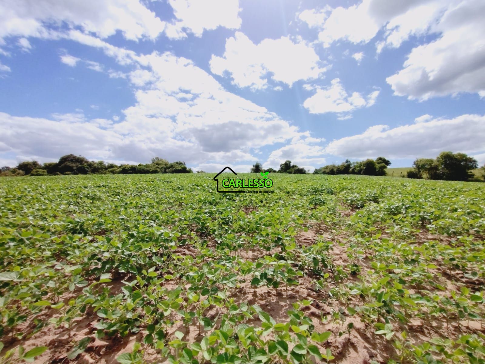 Sítio, 25 hectares - Foto 17