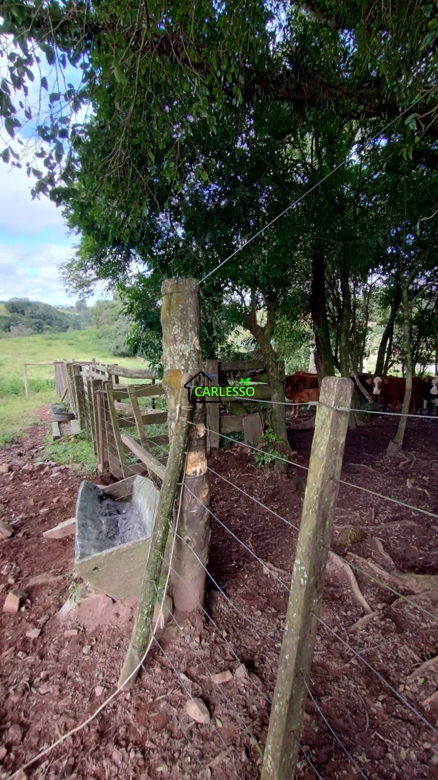 Área rural de 6 ha