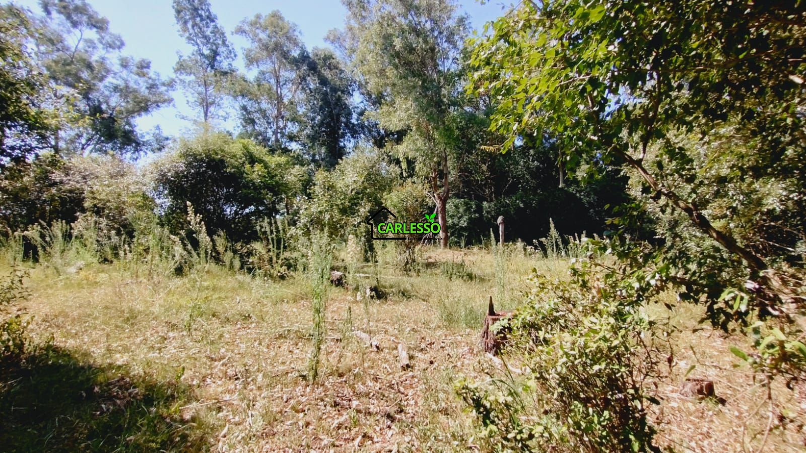 Sítio, 2 quartos, 7 hectares - Foto 48