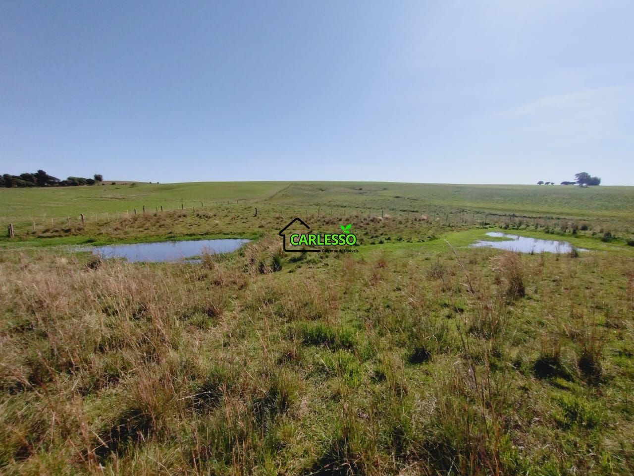 Chácara, 2 quartos, 2 hectares - Foto 55