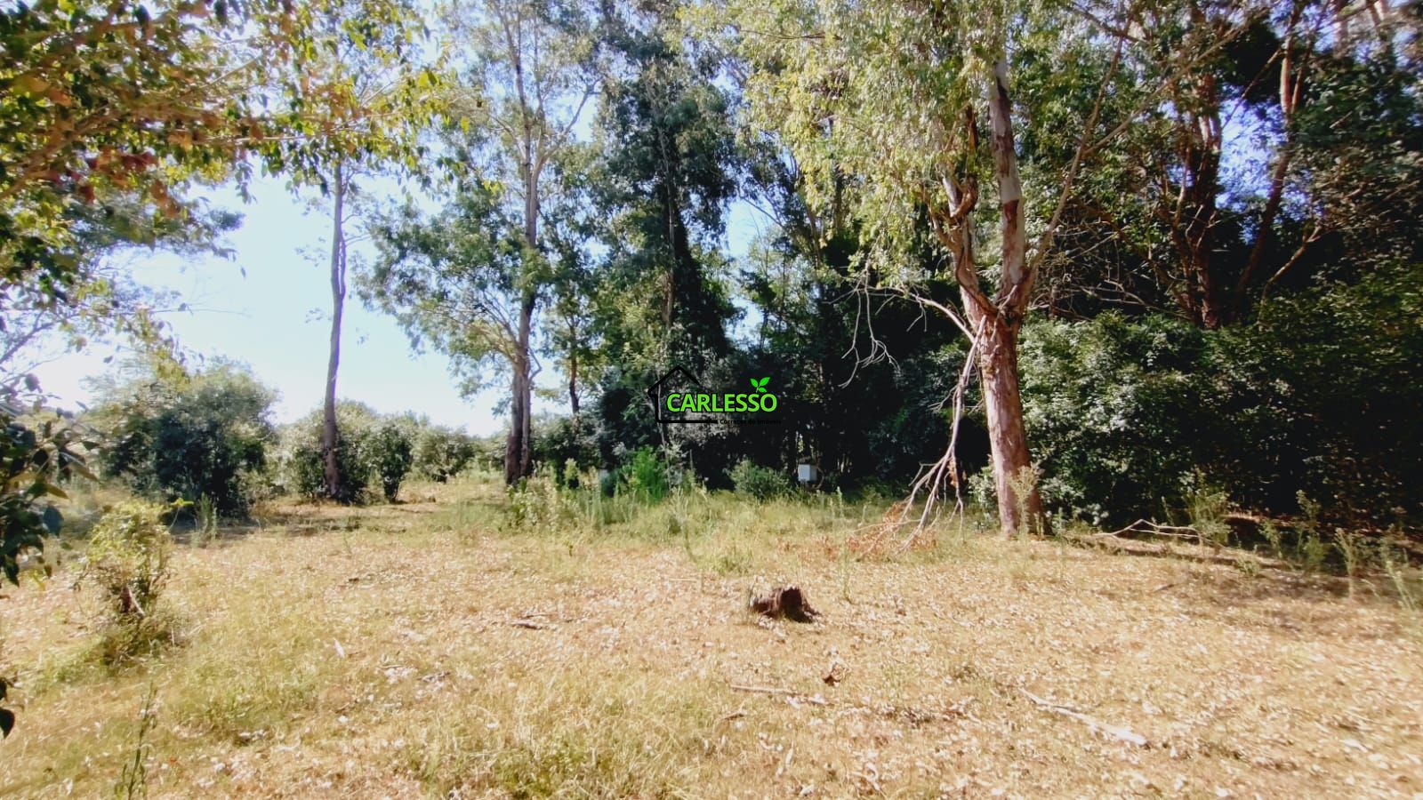 Sítio, 2 quartos, 7 hectares - Foto 45