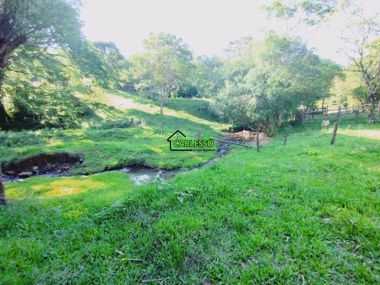 Chácara, 2 quartos, 7 hectares - Foto 16