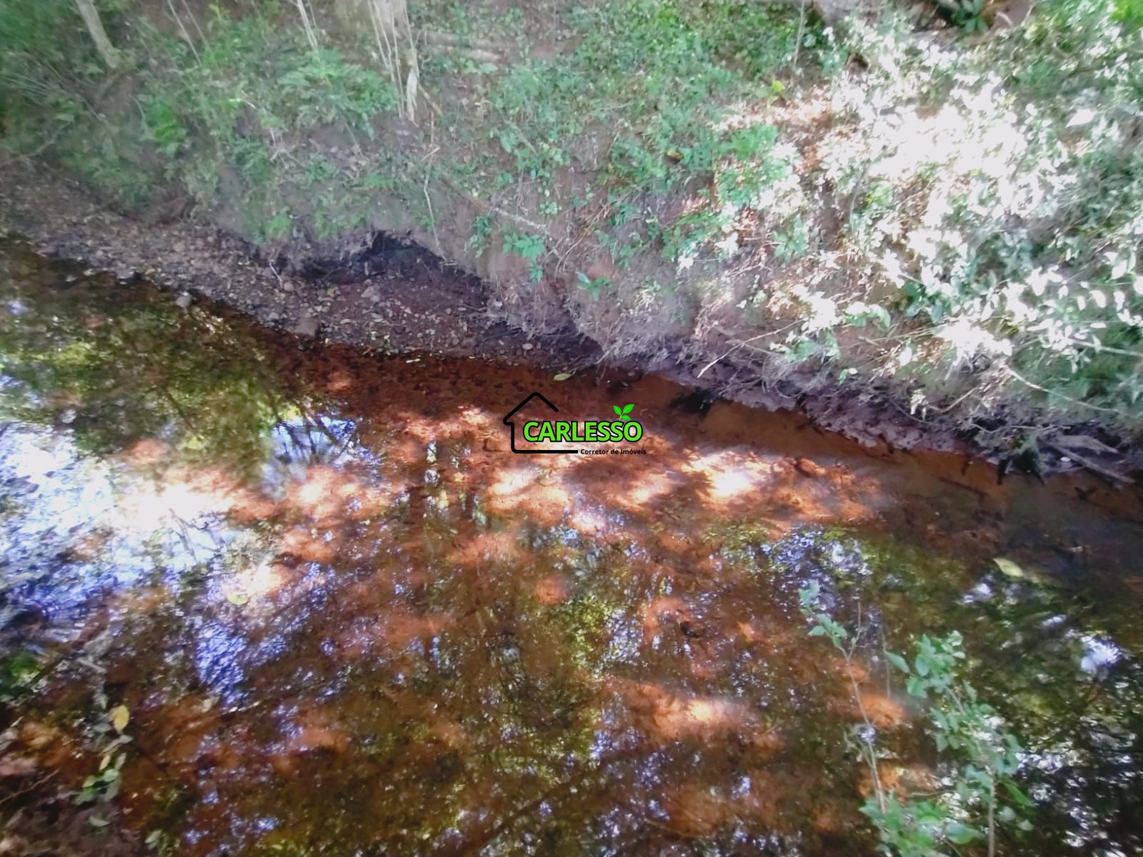 Chácara, 7 hectares - Foto 12