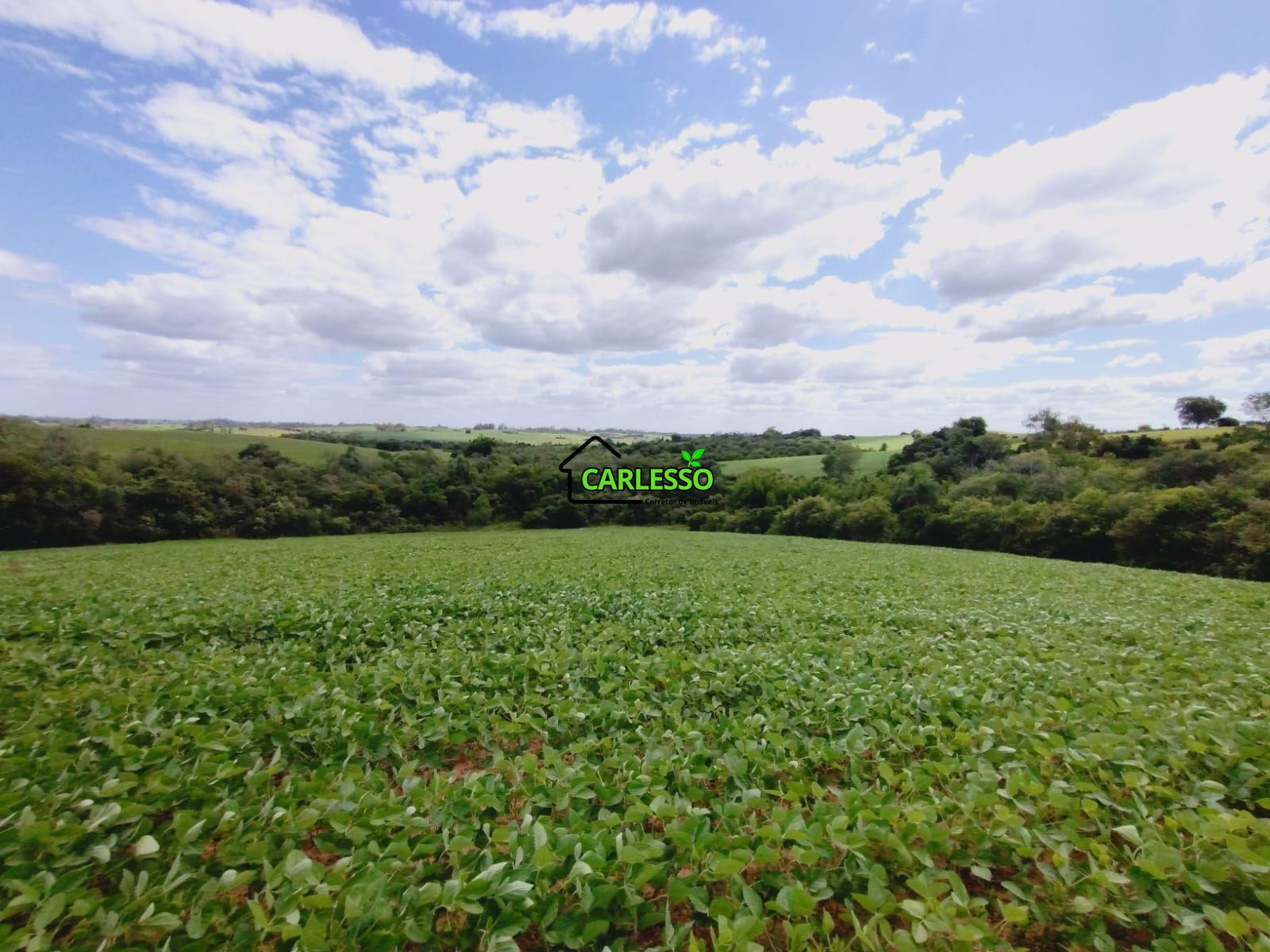 Sítio, 25 hectares - Foto 58