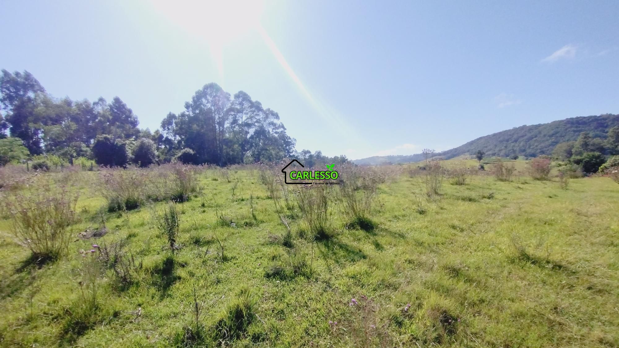 Sítio, 18 hectares - Foto 4