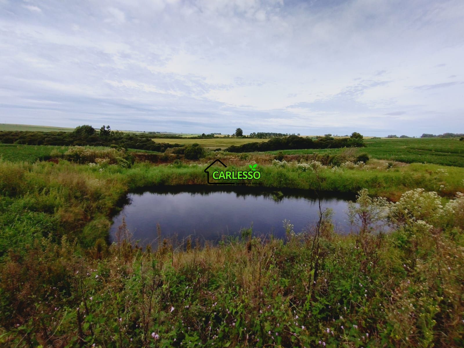 Sítio, 3 quartos, 25 hectares - Foto 31