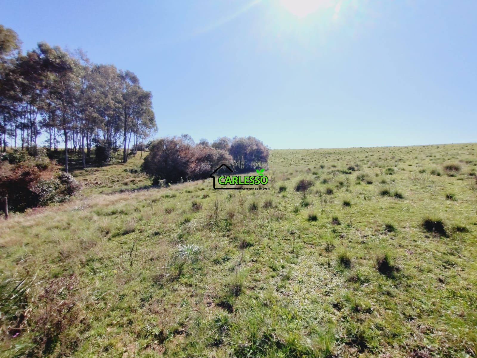 Chácara, 3 quartos, 12 hectares - Foto 36