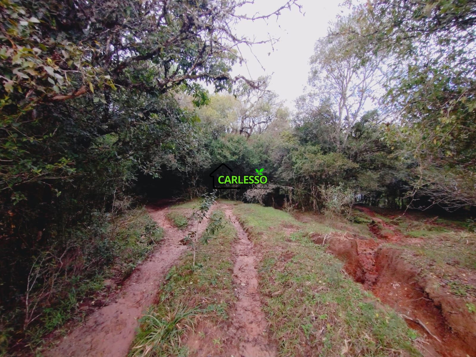 Terreno, 6 hectares - Foto 14