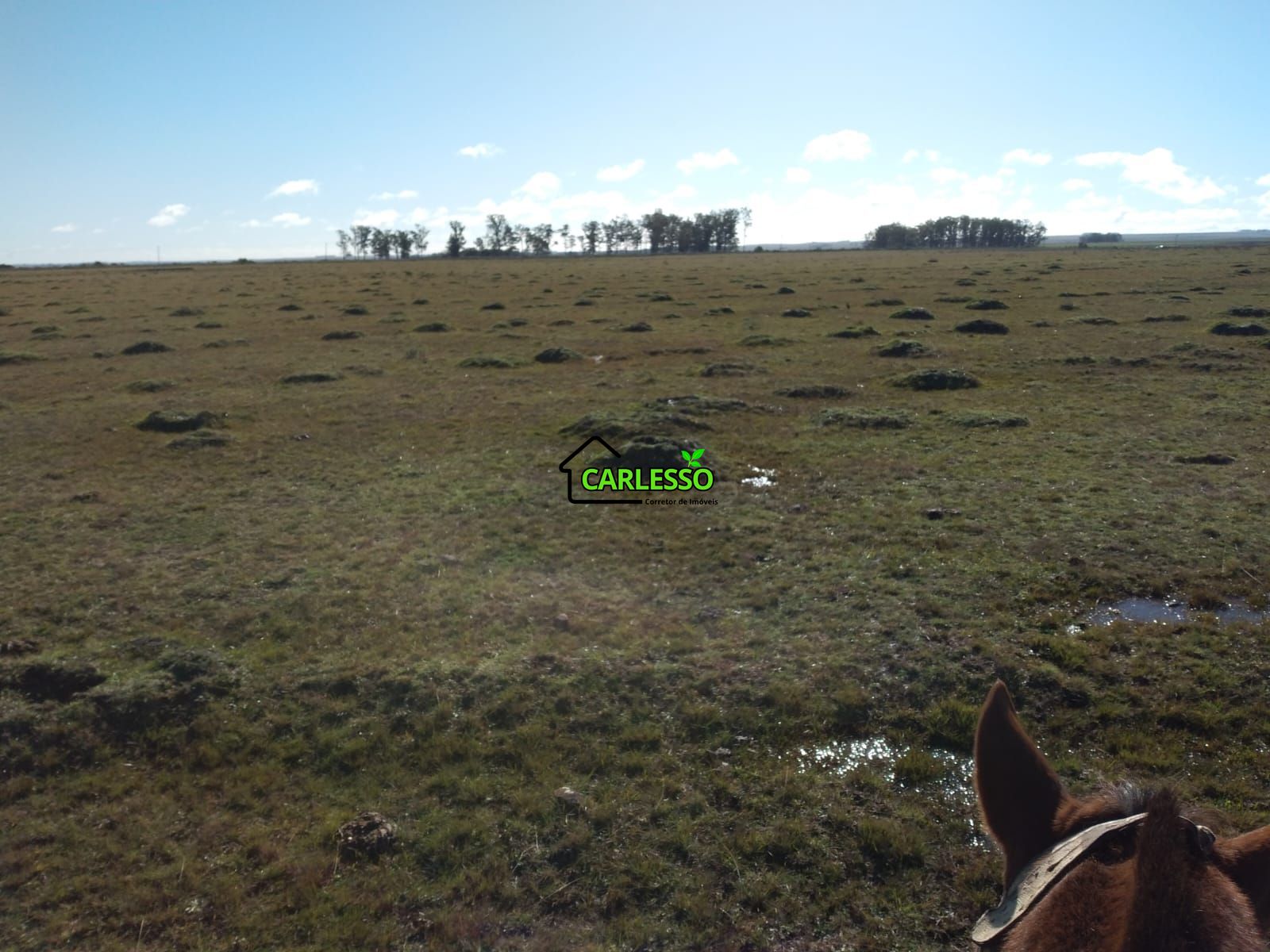 Fazenda de 65 ha