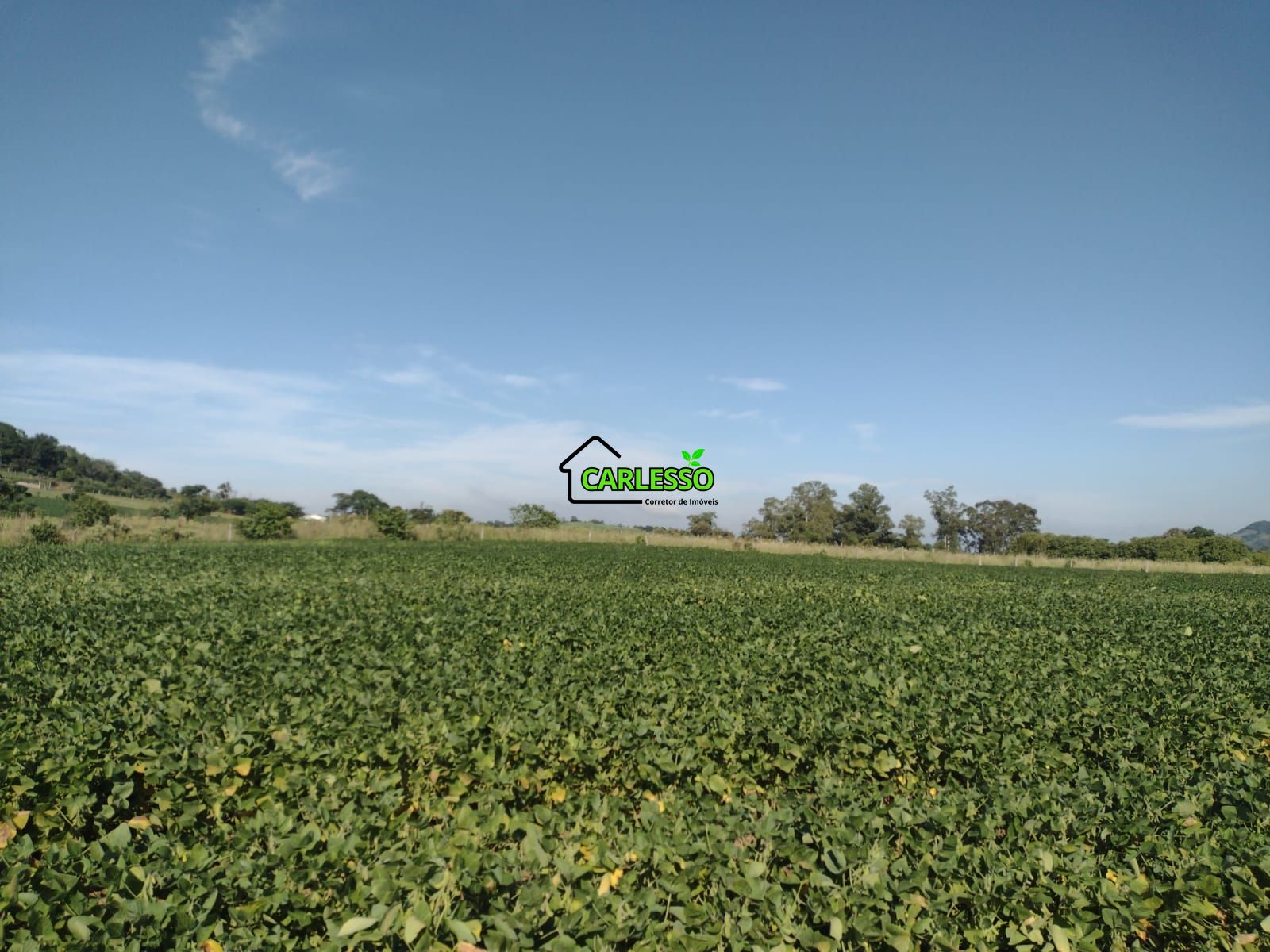 Área de 8,5 ha a venda