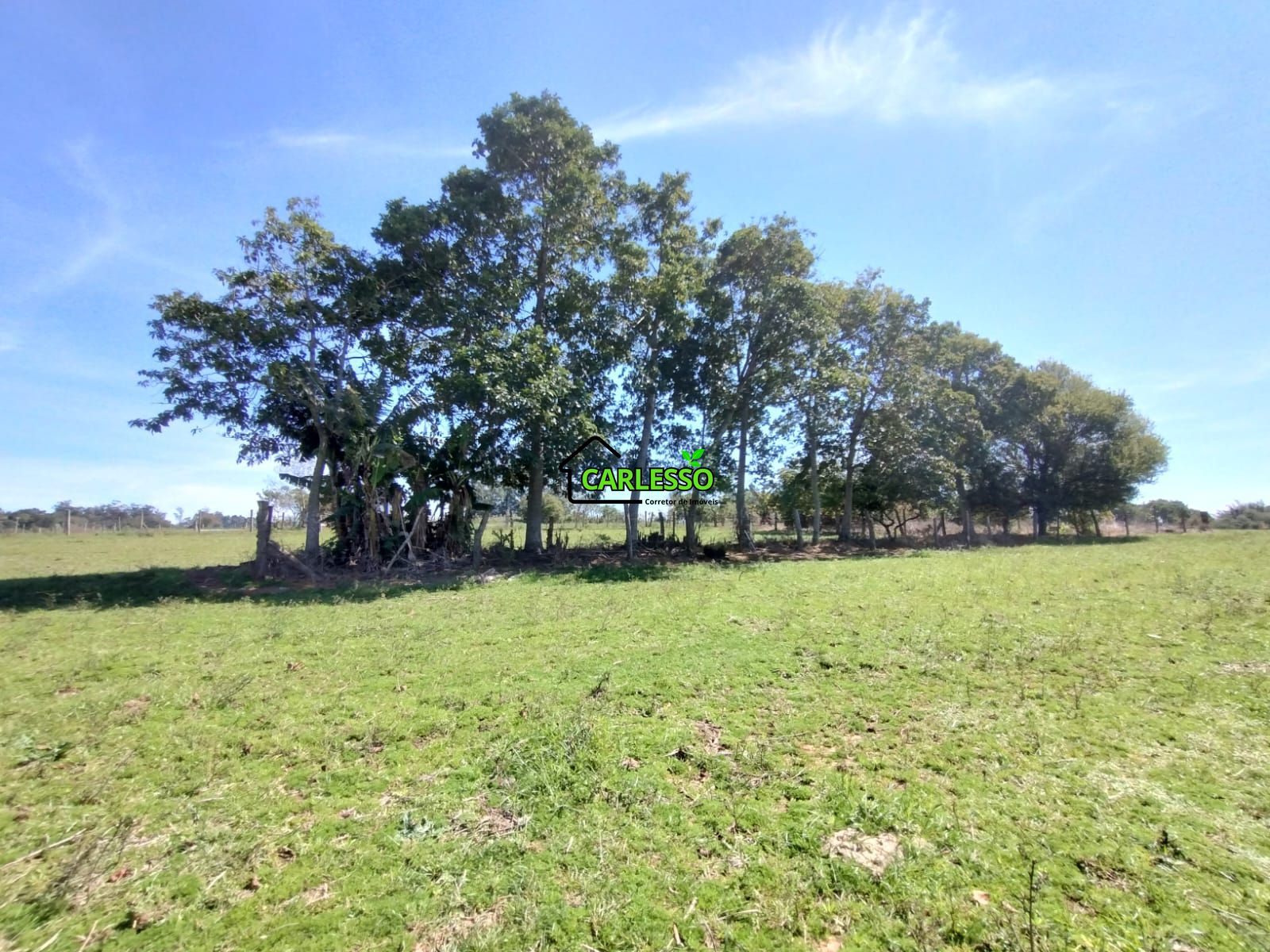 Área de 2,5 ha a venda