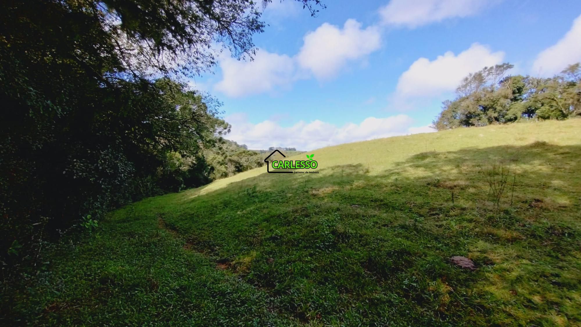 Área rural de 6 ha