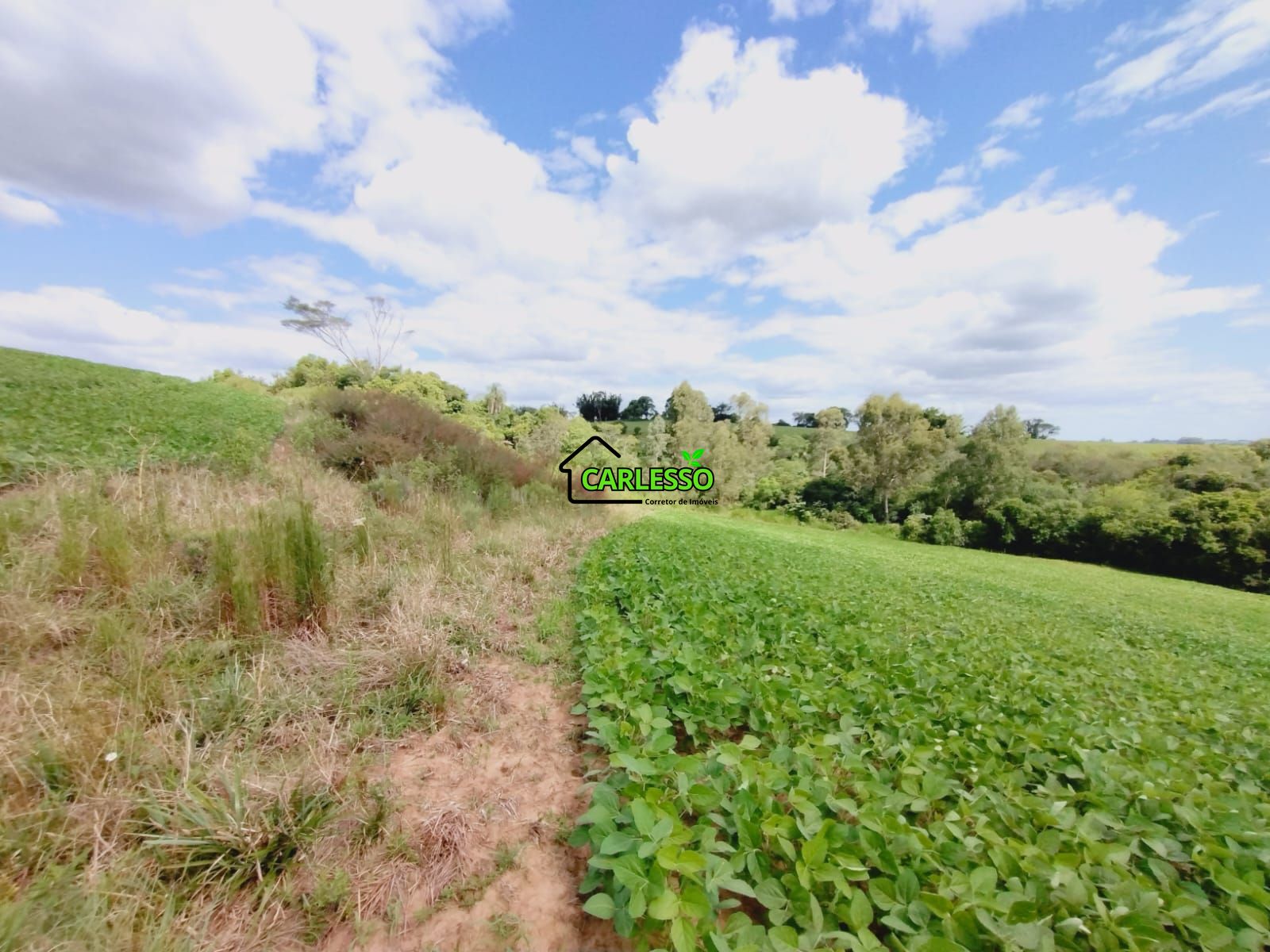 Sítio, 25 hectares - Foto 60