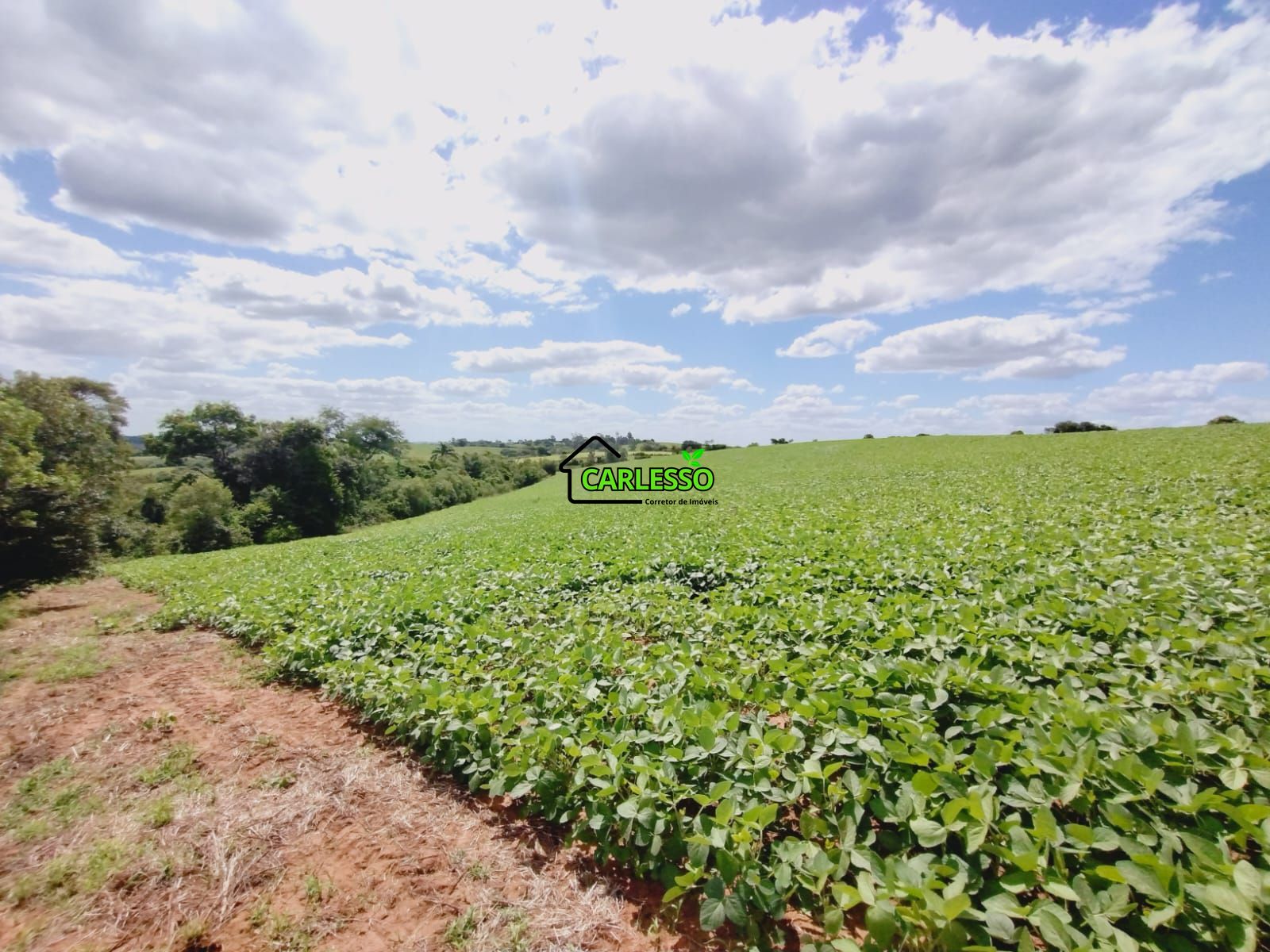 Sítio, 25 hectares - Foto 46