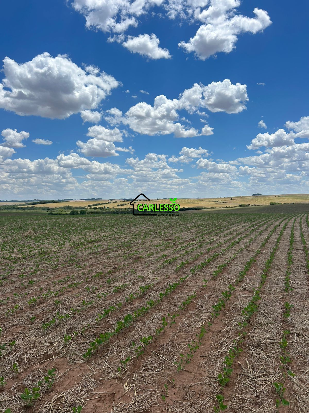 Fazenda, 700 hectares - Foto 4