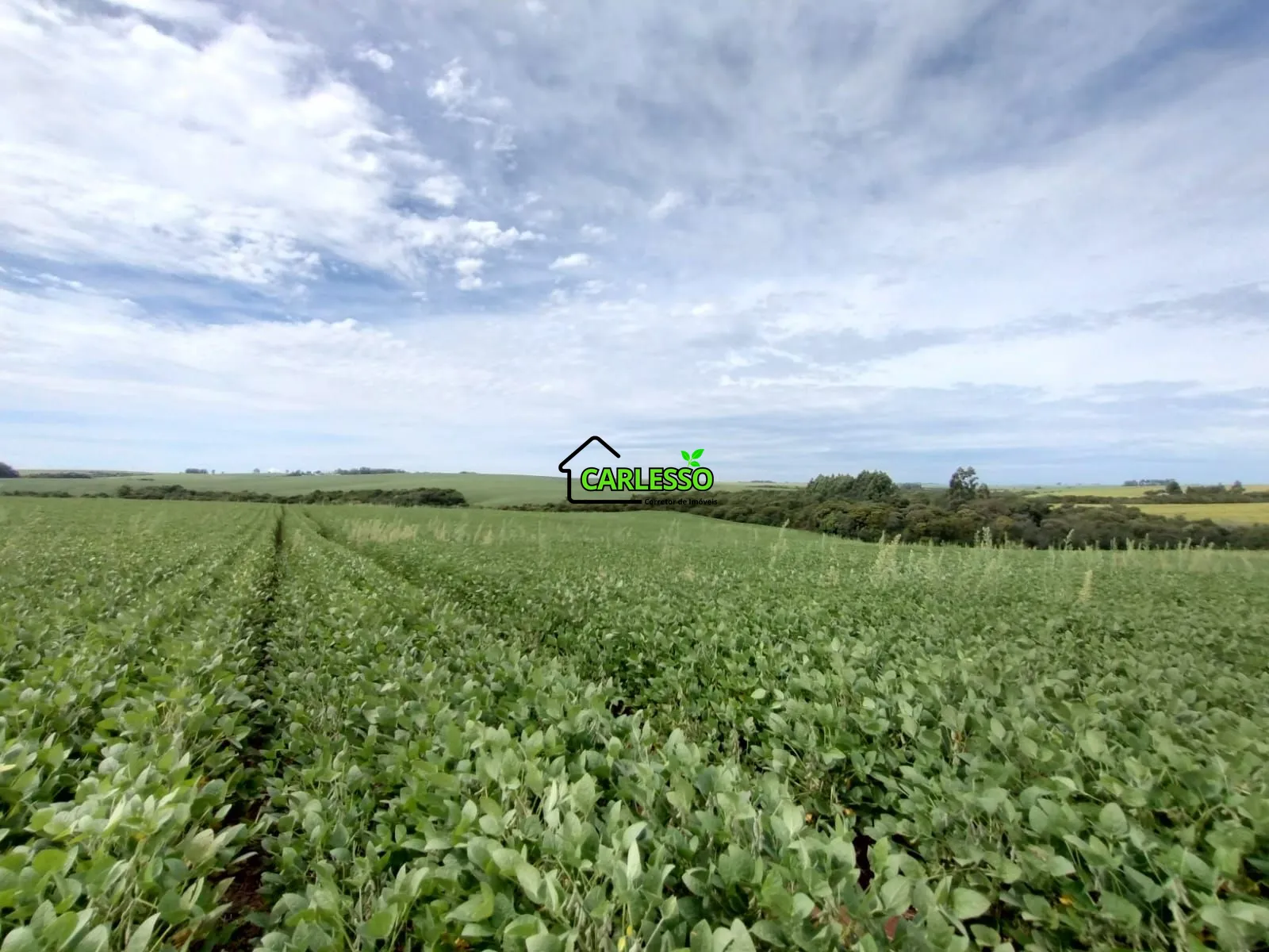 Sítio, 3 quartos, 25 hectares - Foto 40