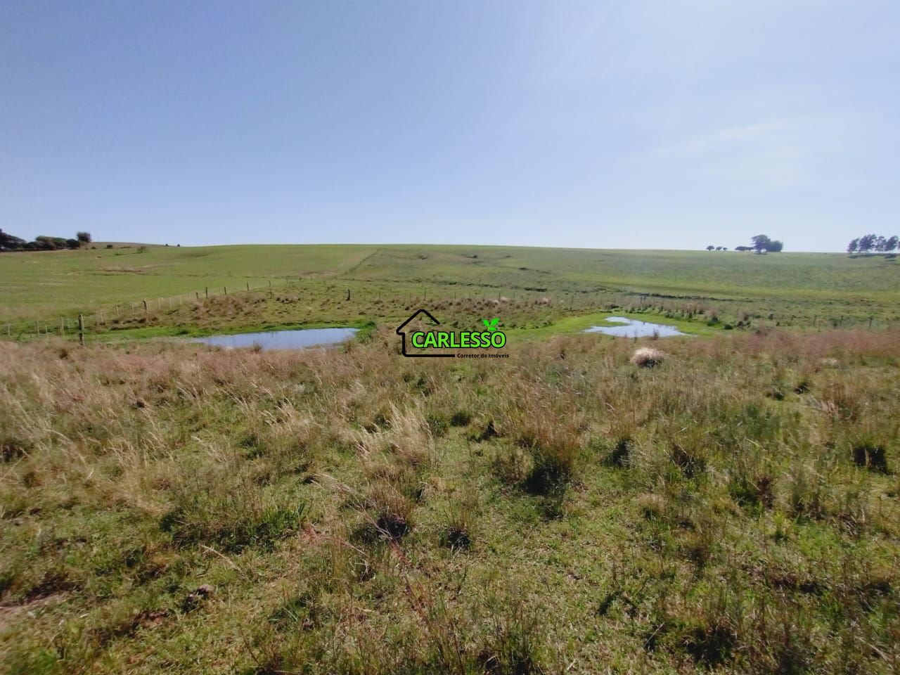 Chácara, 2 quartos, 2 hectares - Foto 50