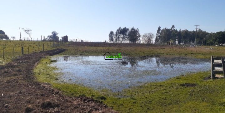 Chácara, 2 quartos, 2 hectares - Foto 11
