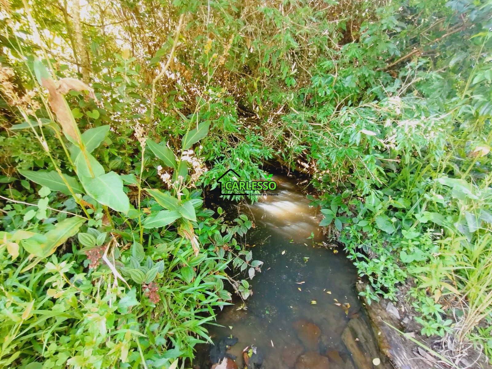 Sítio, 9 hectares - Foto 13