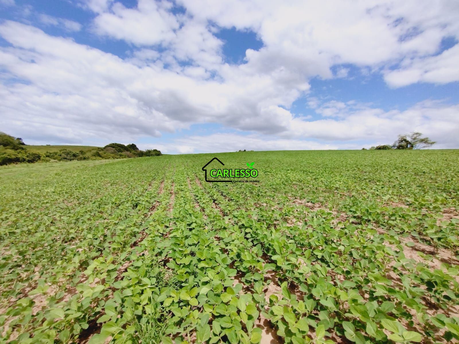 Sítio, 25 hectares - Foto 53