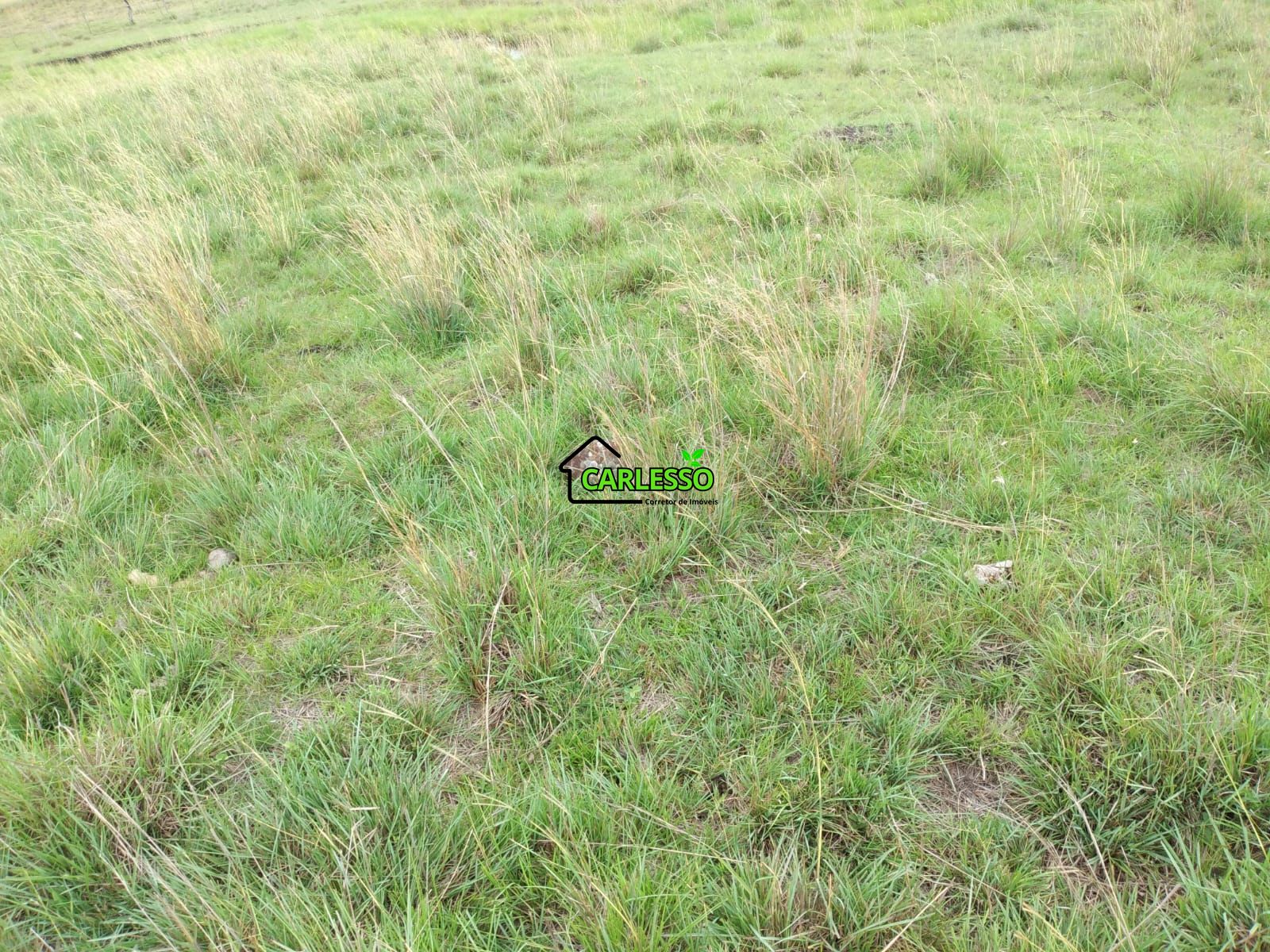 Fazenda de 65 ha