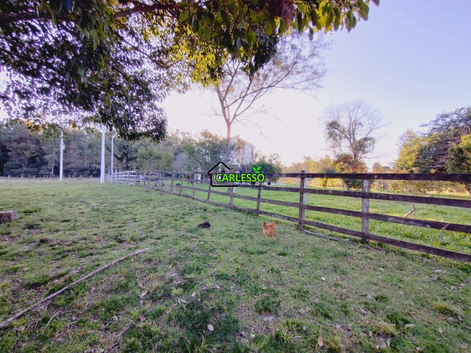 Sítio, 3 quartos, 7 hectares - Foto 11
