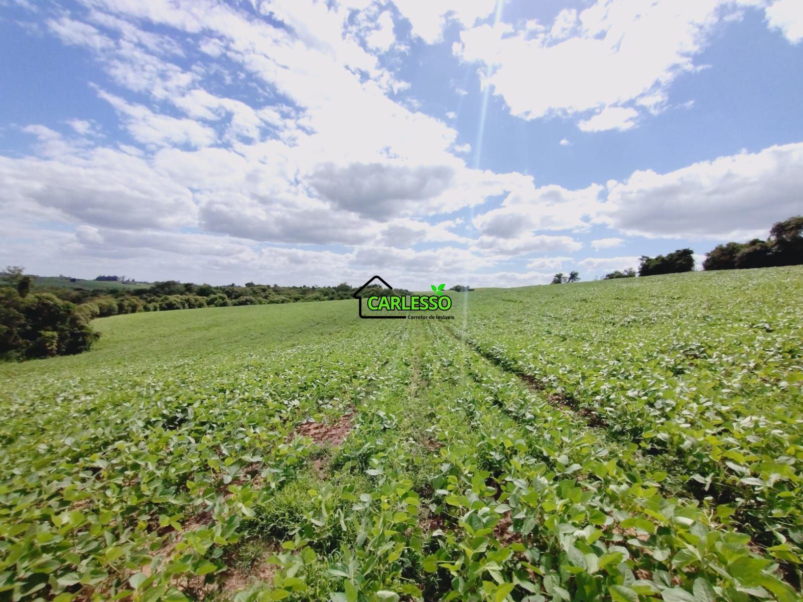 Sítio, 25 hectares - Foto 37