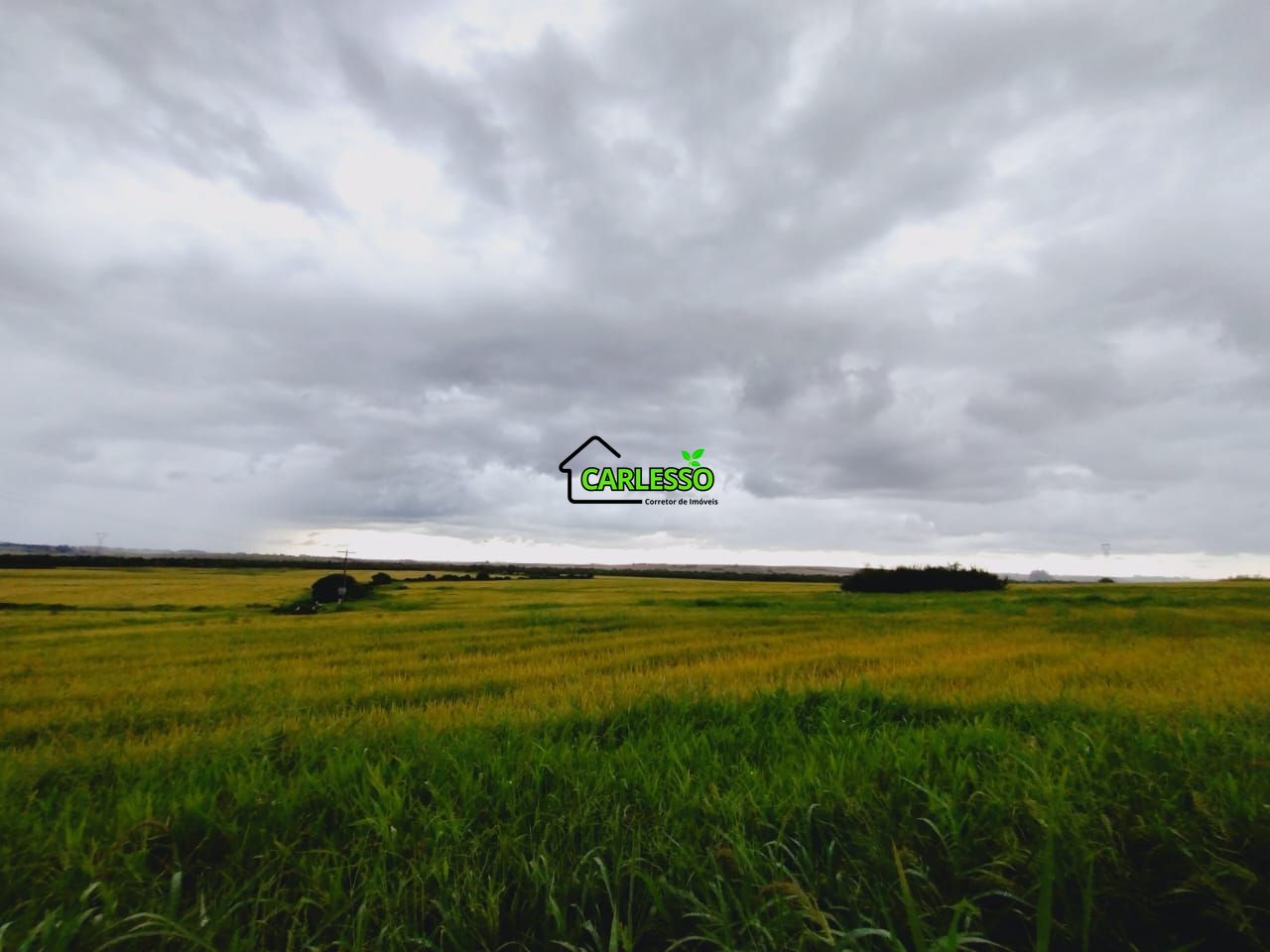 Fazenda, 119 hectares - Foto 19