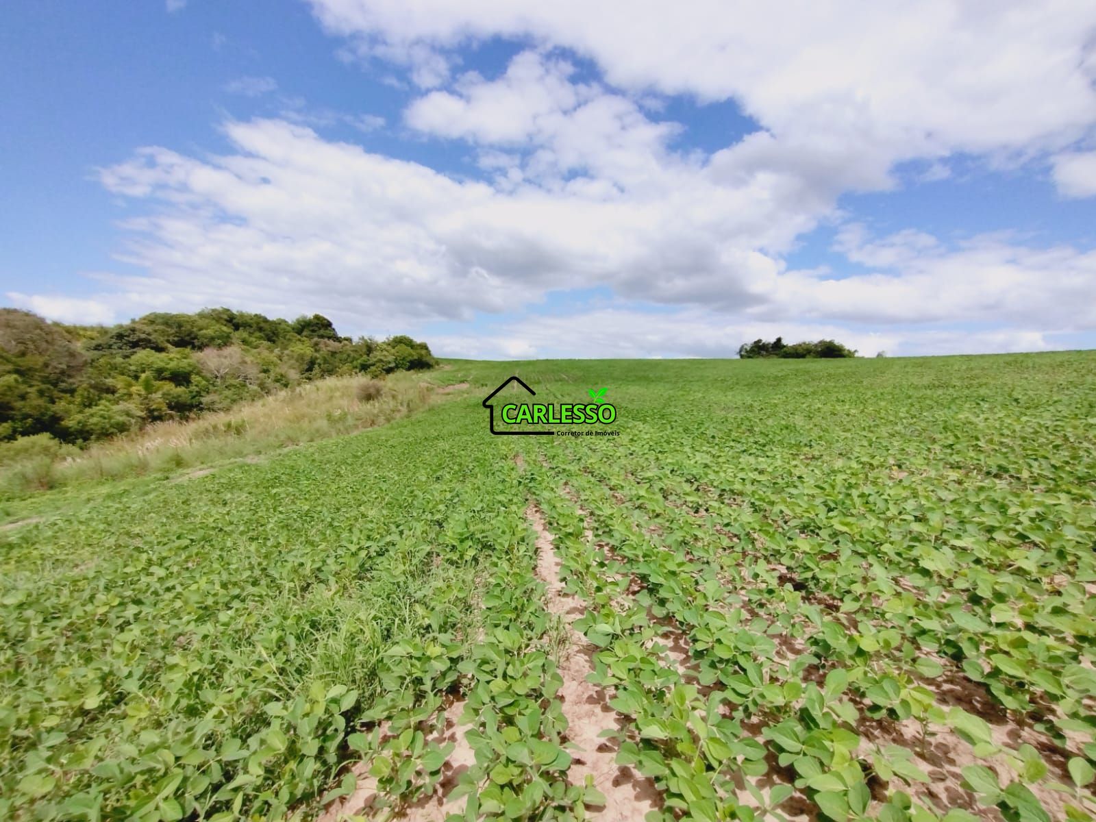 Sítio, 25 hectares - Foto 64