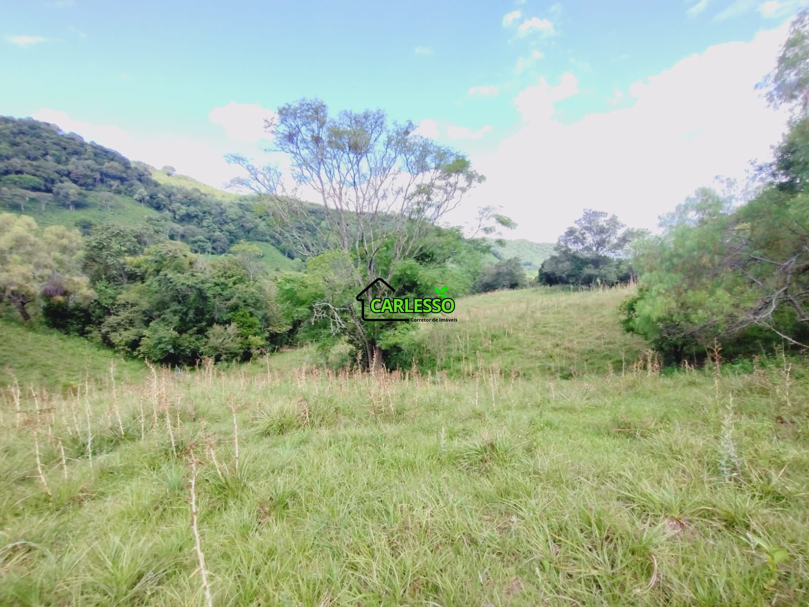 Sítio, 23 hectares - Foto 11