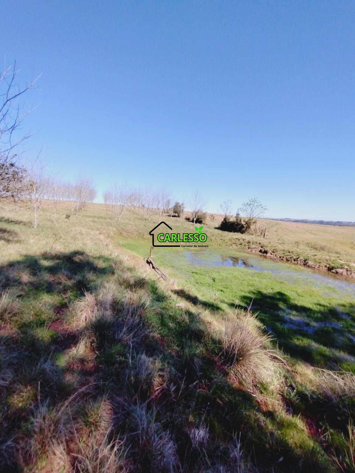 Chácara, 3 quartos, 12 hectares - Foto 13