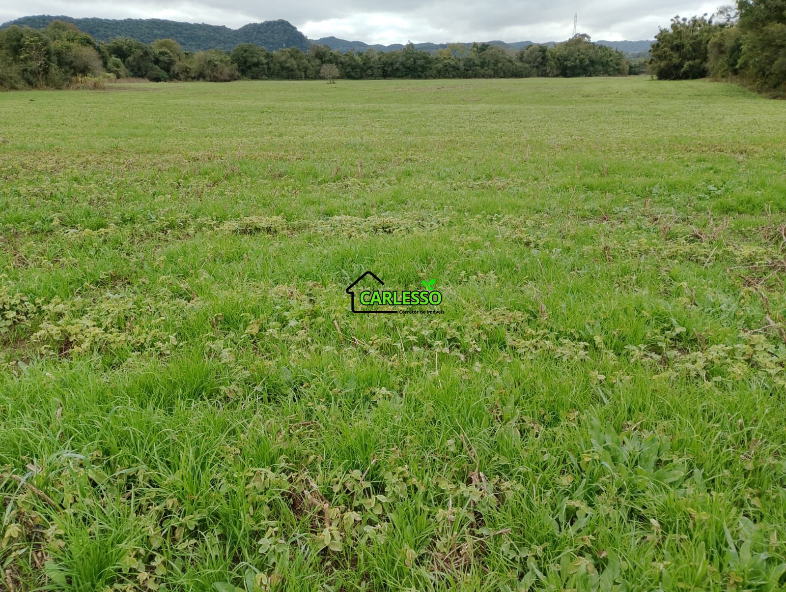 Sítio, 6 hectares - Foto 1
