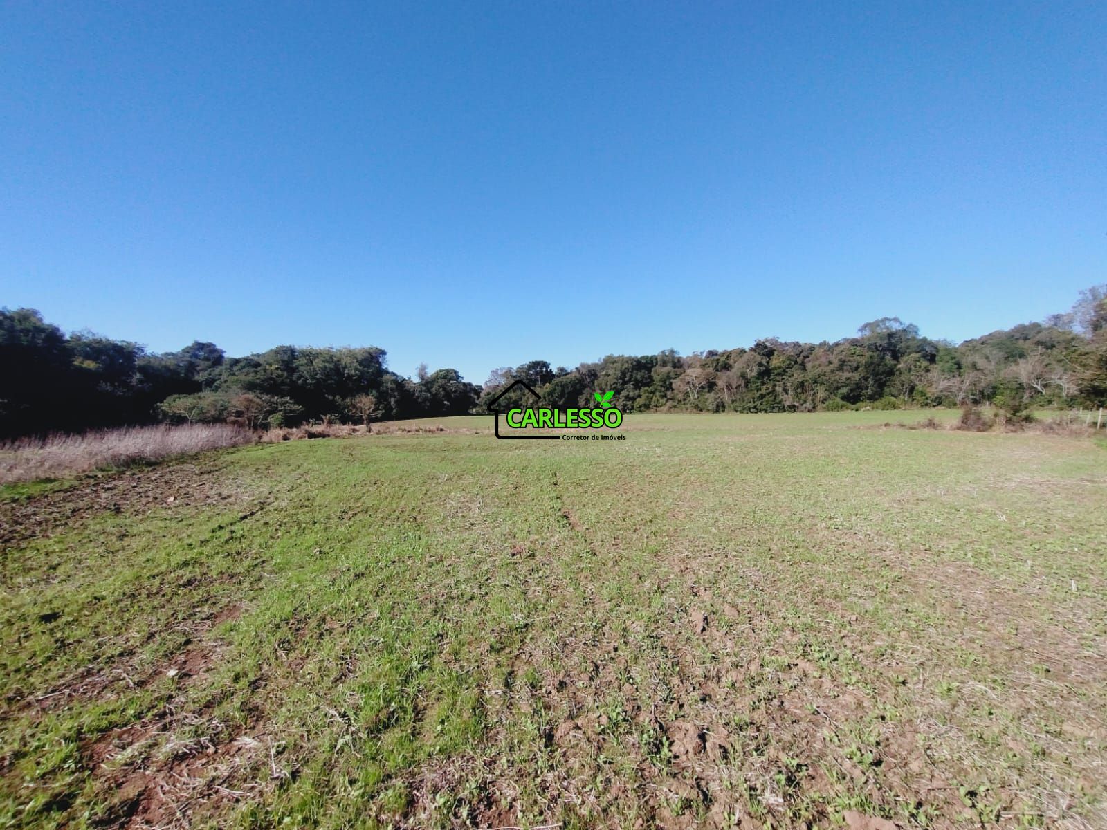 Sítio, 19 hectares - Foto 41