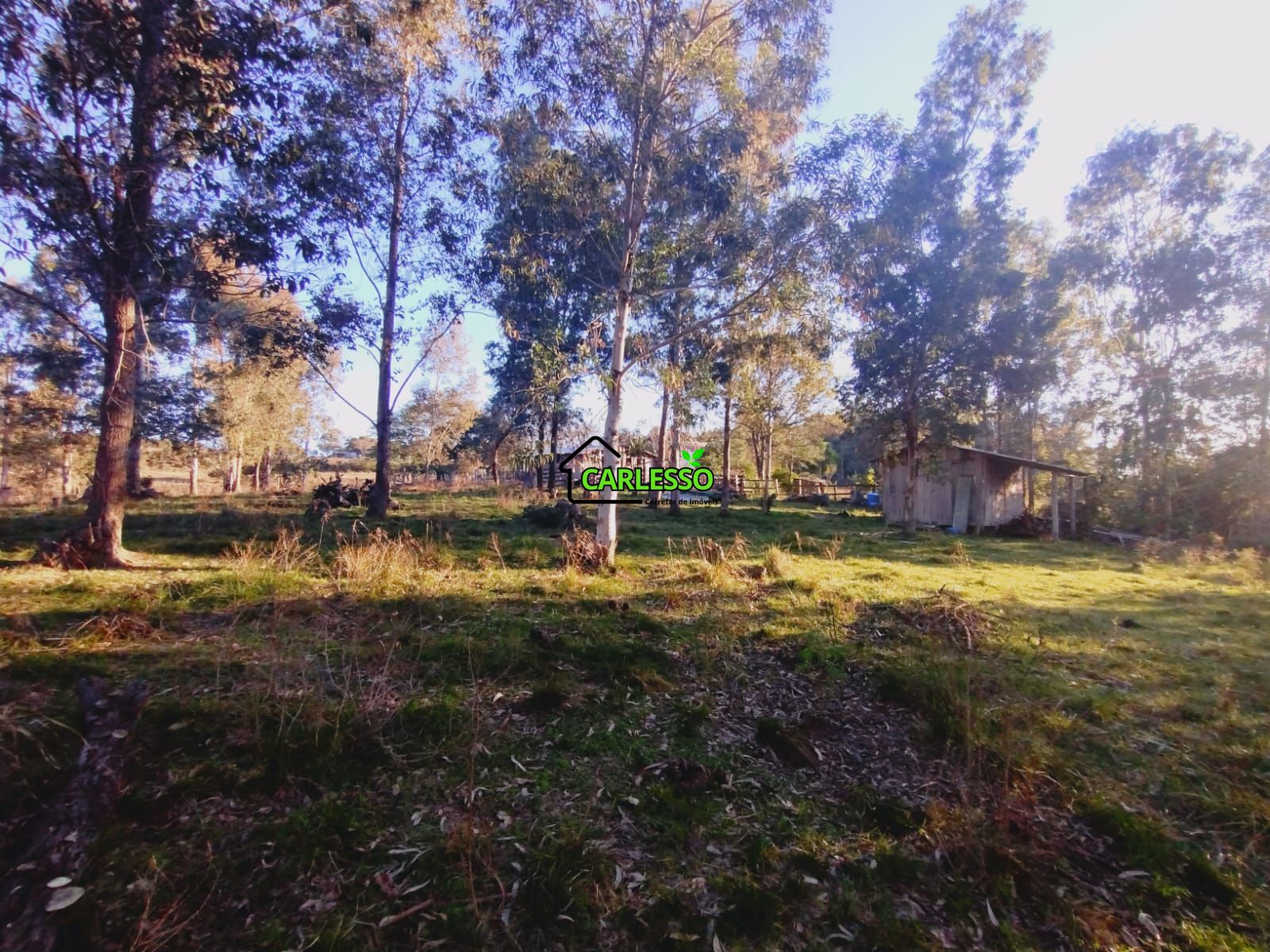 Sítio, 3 quartos, 7 hectares - Foto 20