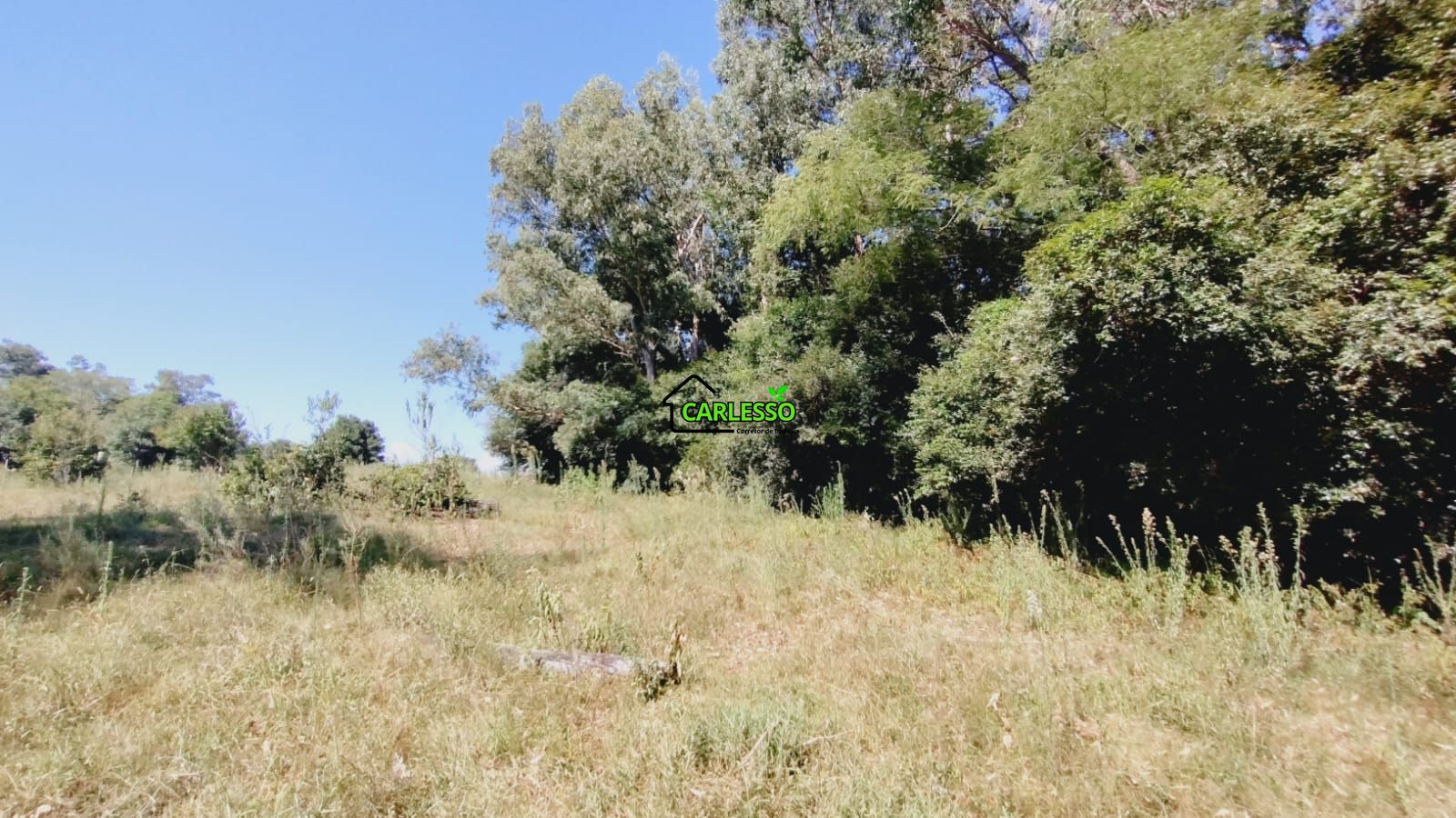 Sítio, 2 quartos, 7 hectares - Foto 56