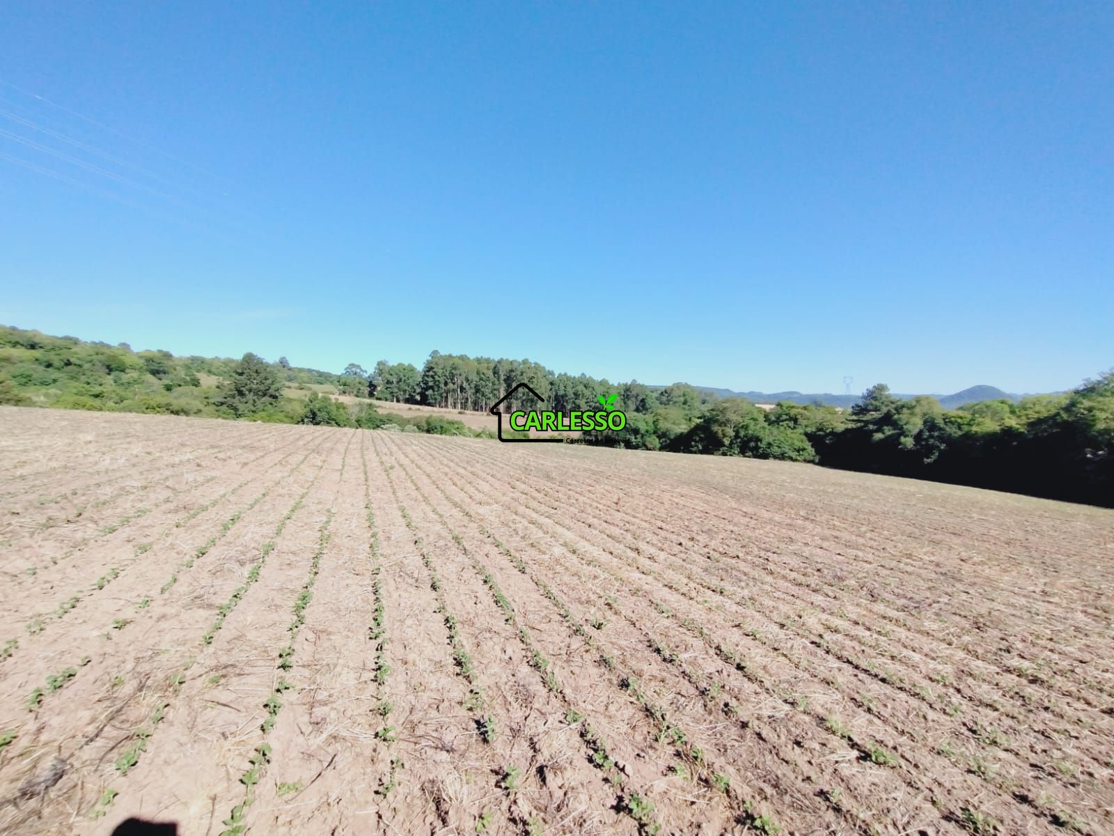 Sítio, 9 hectares - Foto 20