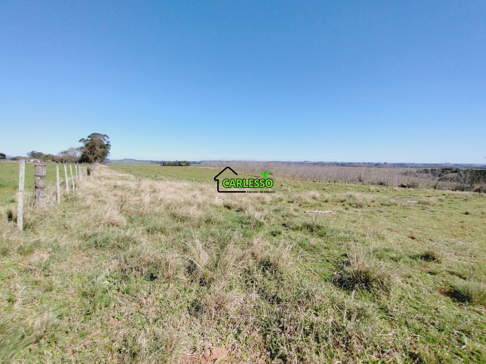 Chácara, 3 quartos, 12 hectares - Foto 44