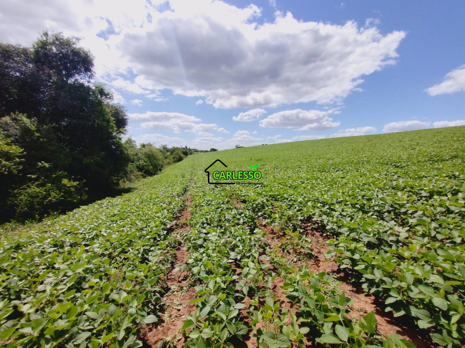 Sítio, 25 hectares - Foto 32